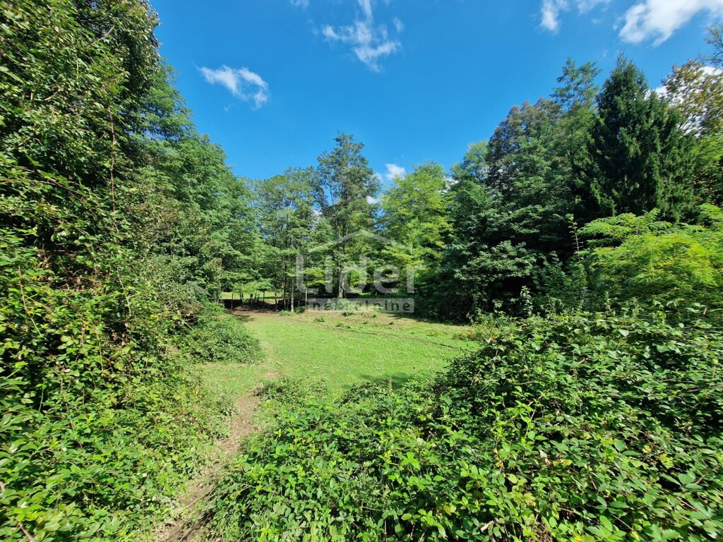 Image 6150386 - 7