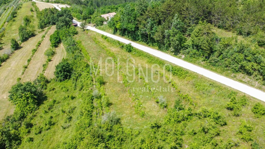 Image 6332021 - 11