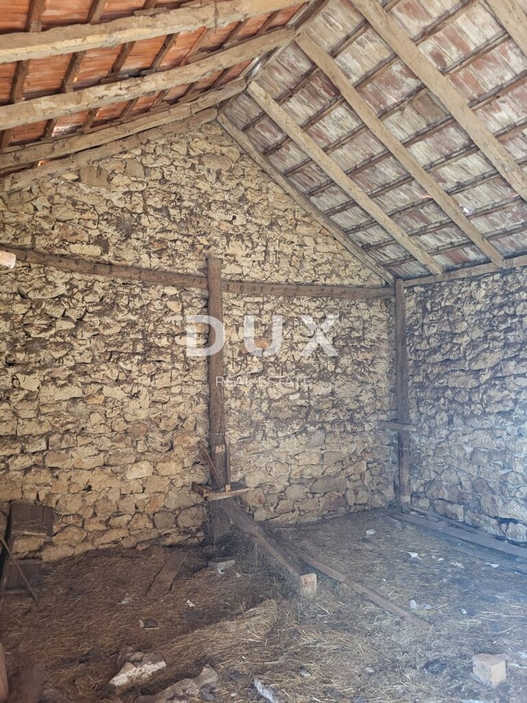 Image 14