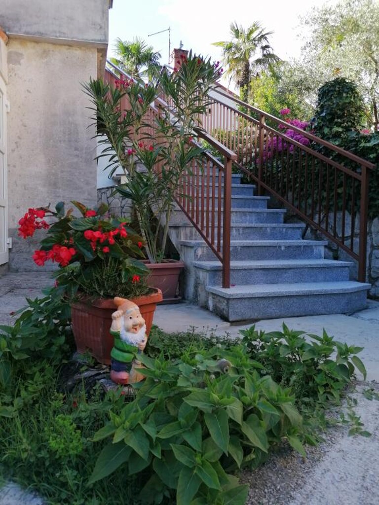 Image 3838689 - 8