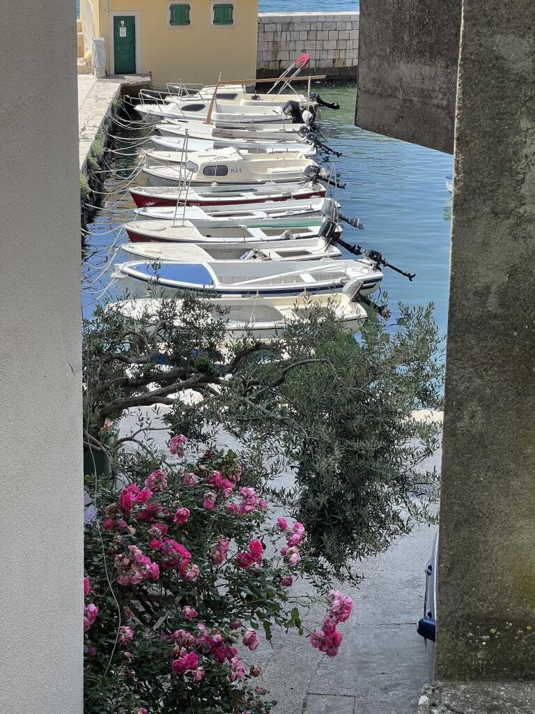 Image 30