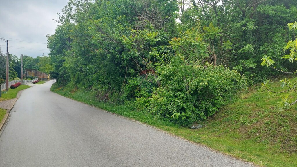 Image 5429394 - 1
