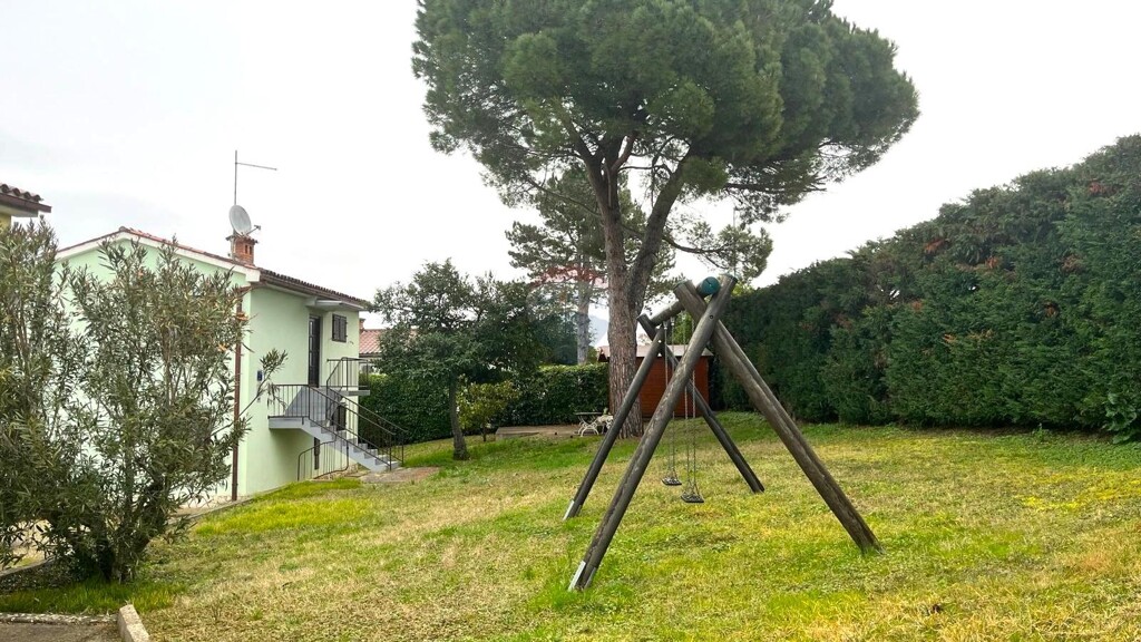 Image 13