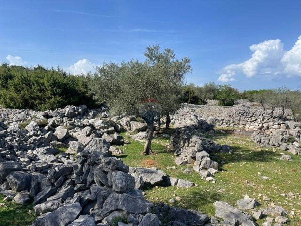 Image 14