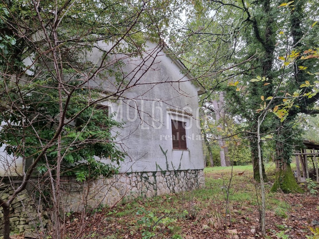 Image 13