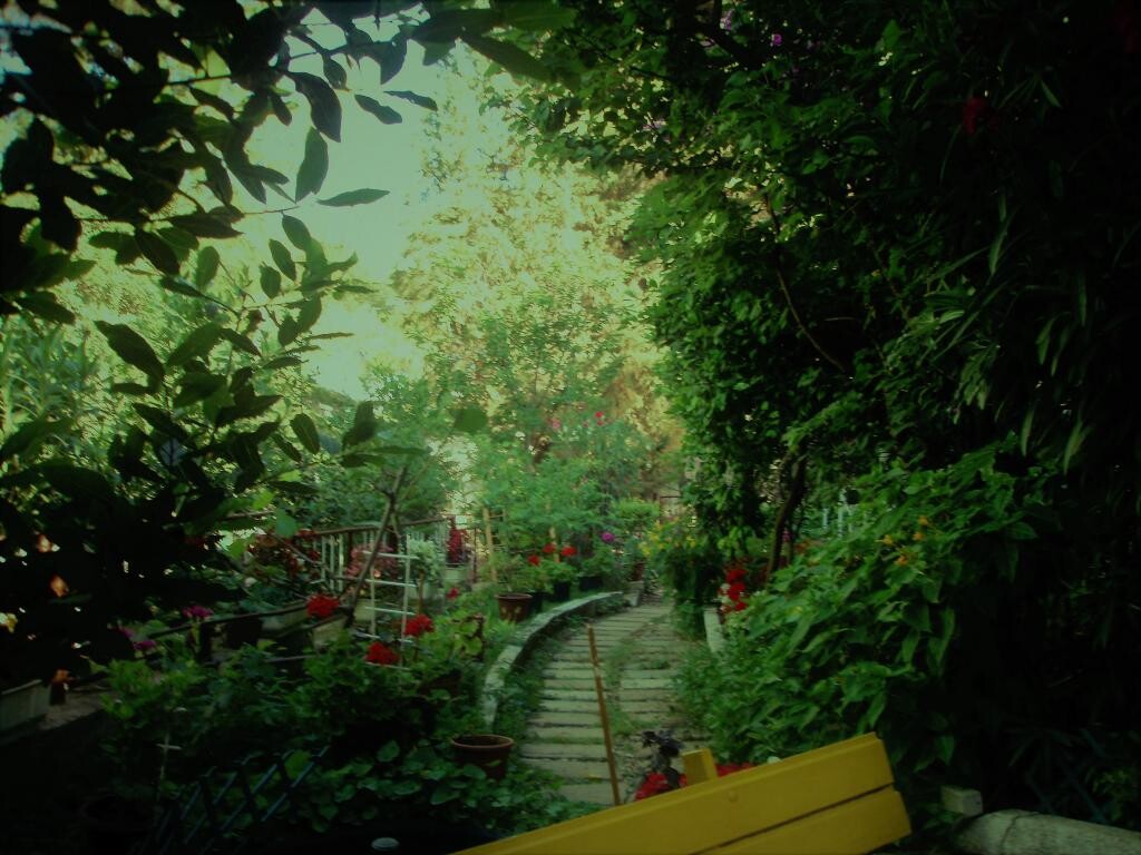 Image 7