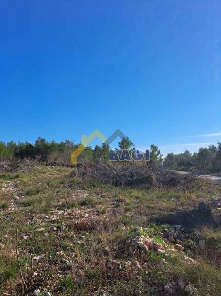Image 15