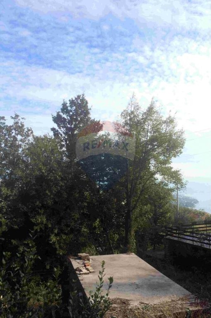 Image 5410954 - 3