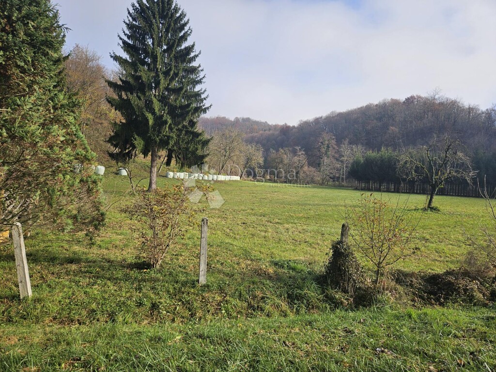 Image 9