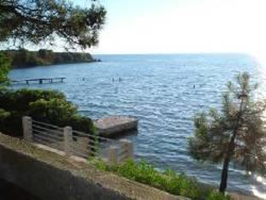 Image 3838612 - 10