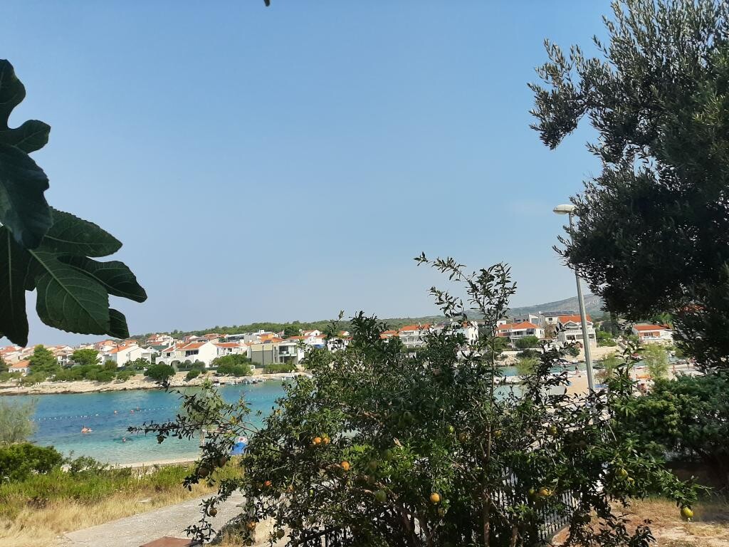 Image 13