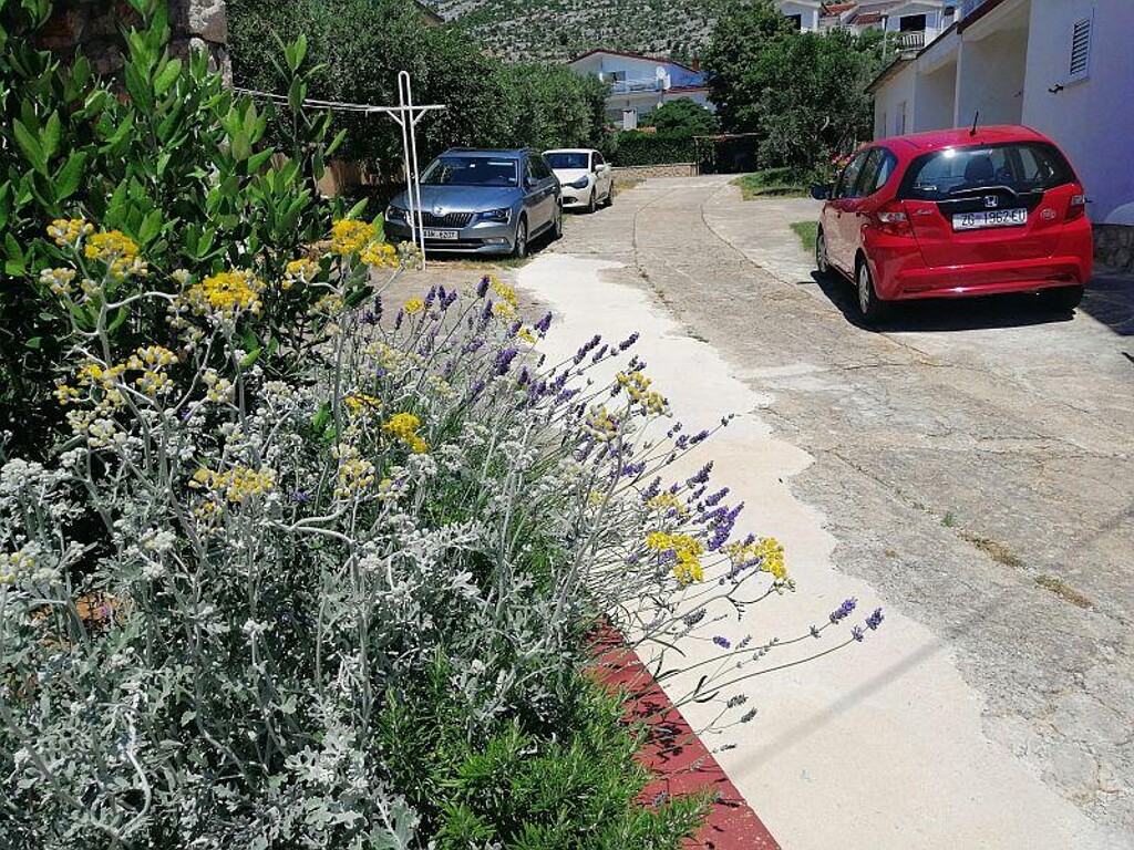 Image 3810756 - 13