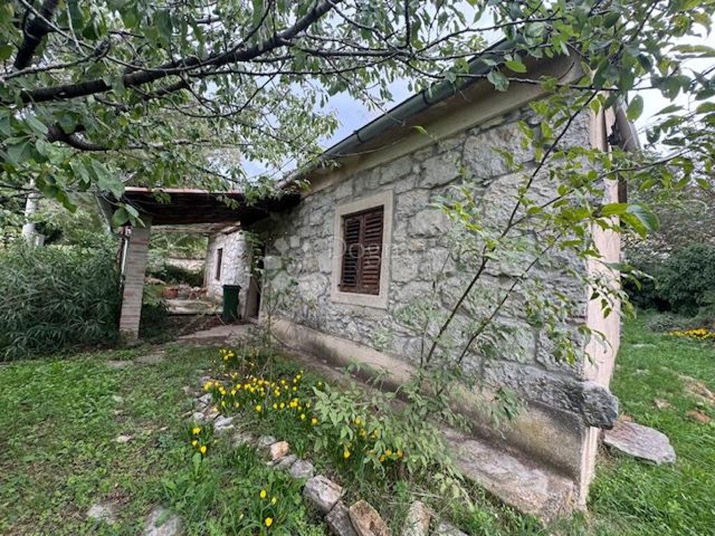 Image 21