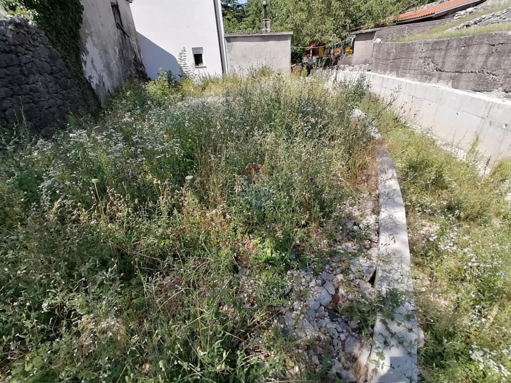 Image 14