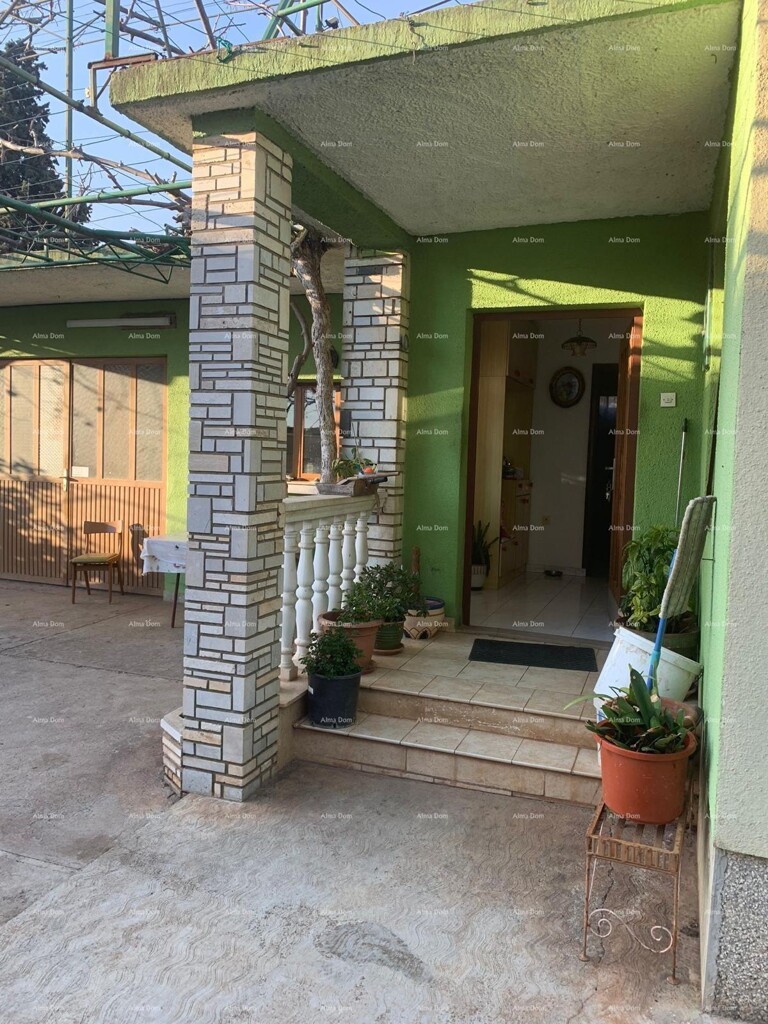 Image 10