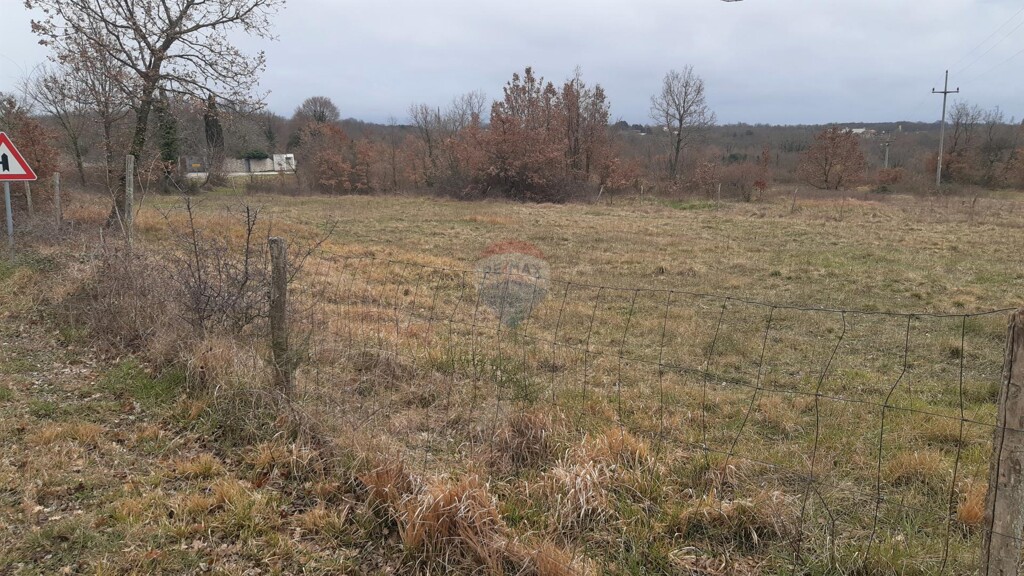Image 5430237 - 5