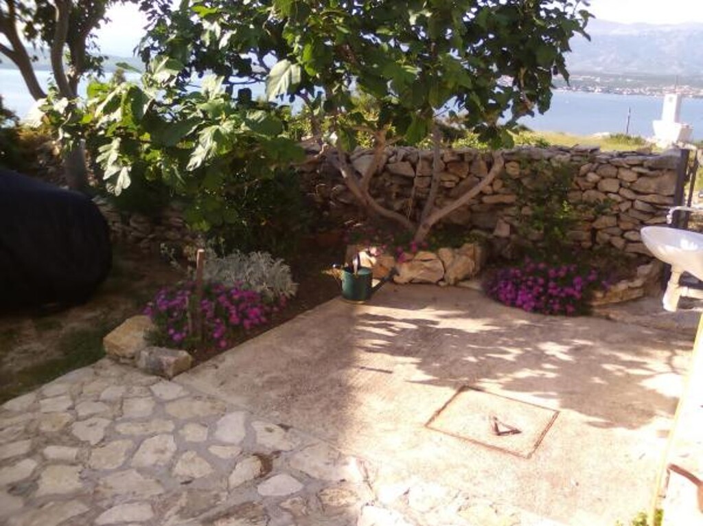 Image 3812094 - 30