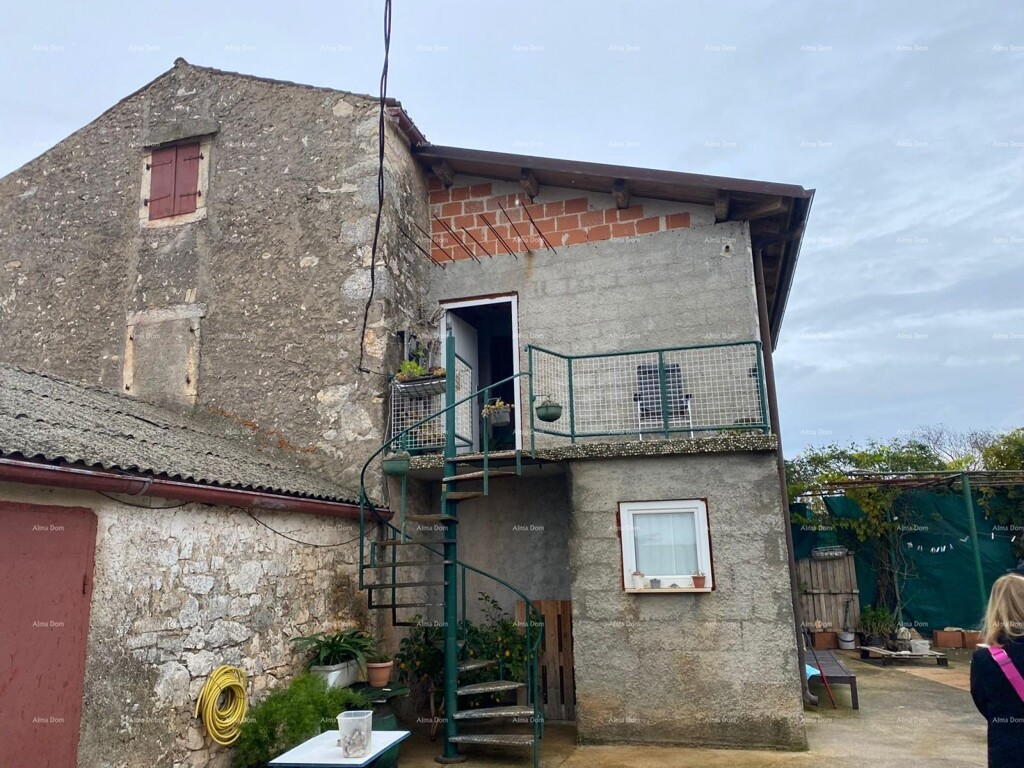 Image 12