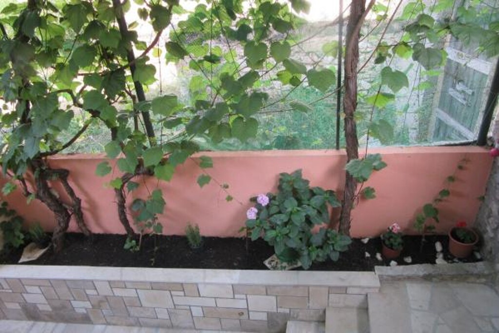 Image 3823105 - 22