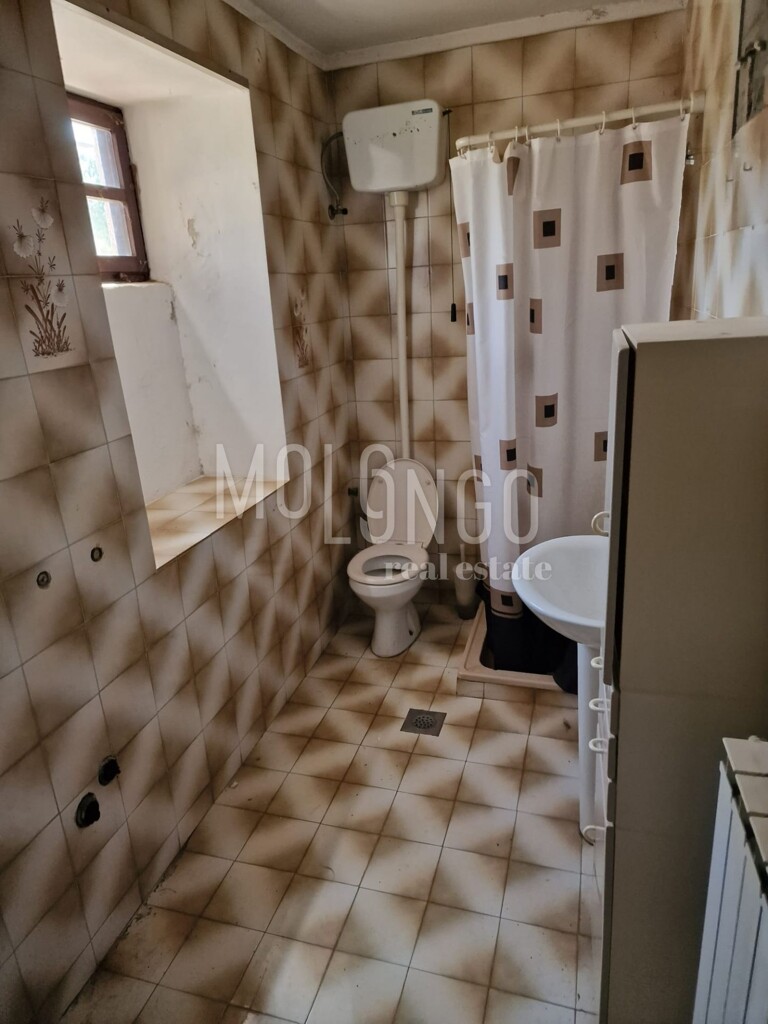 Image 21