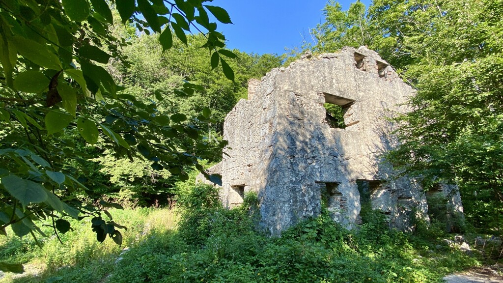 Image 18