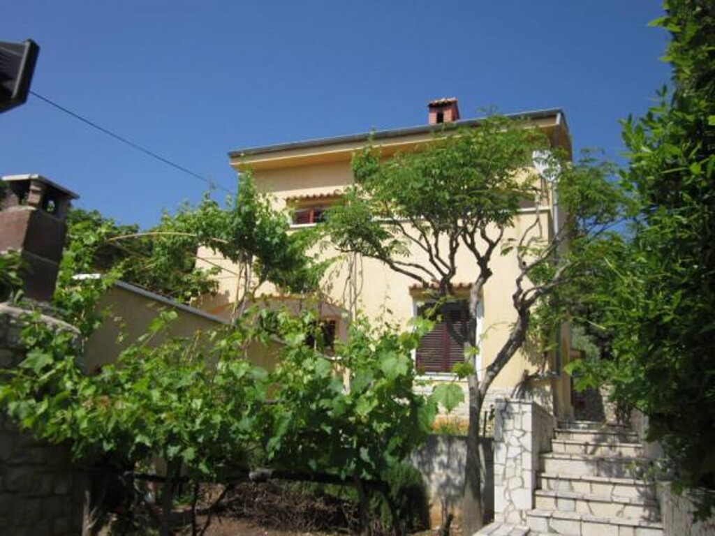 Image 3814051 - 1