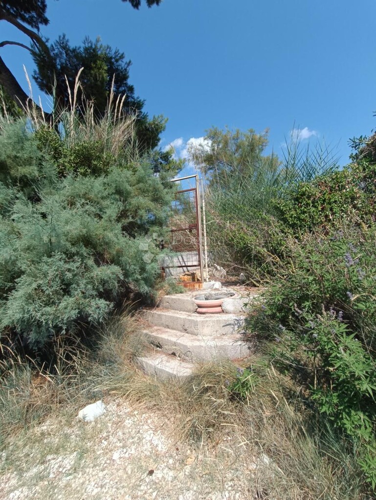 Image 15