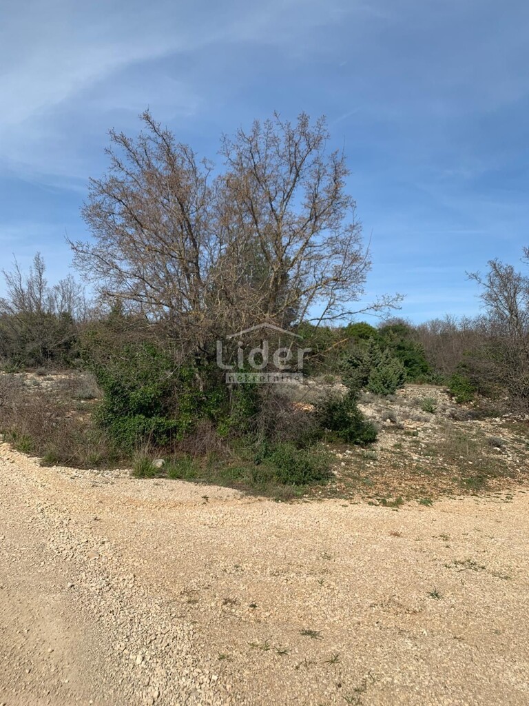 Image 13