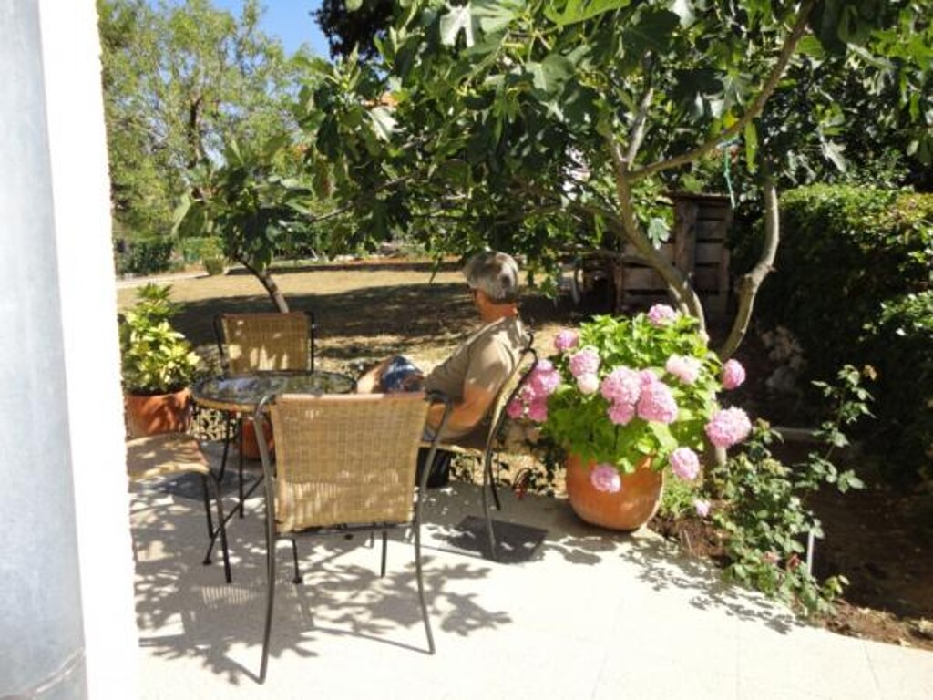 Image 3811593 - 4