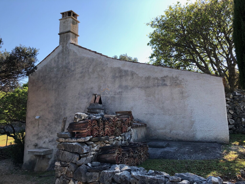 Image 19