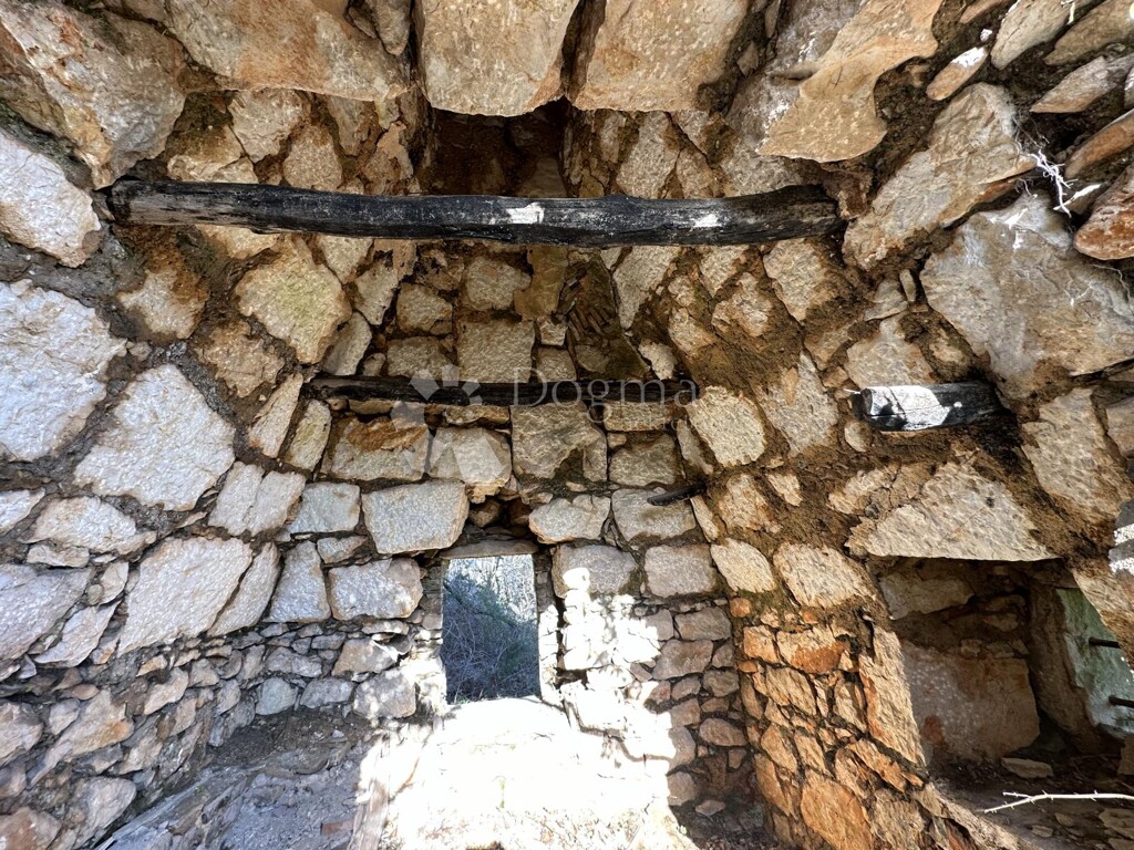Image 20