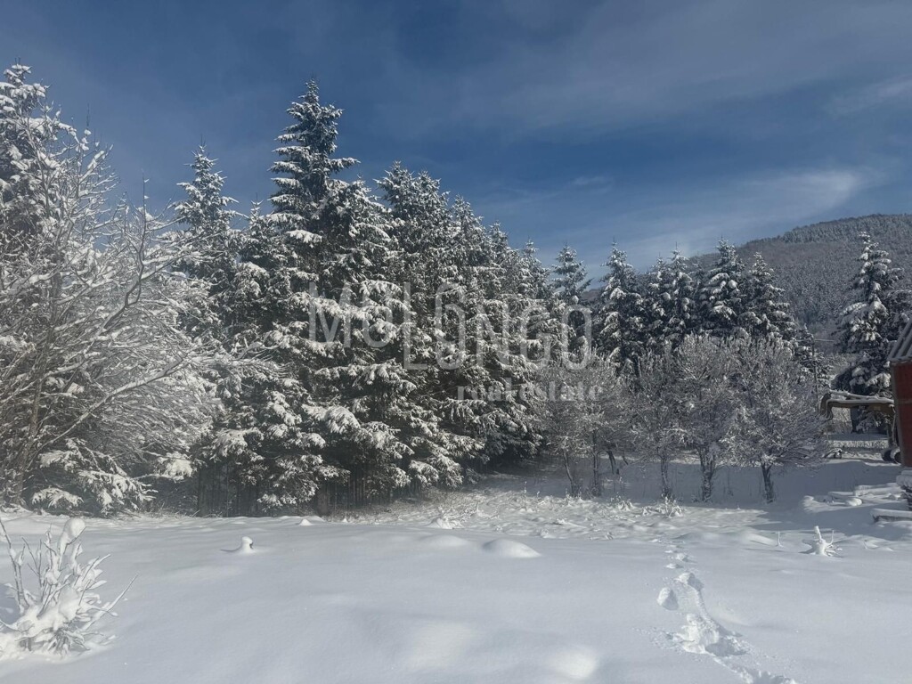 Image 9