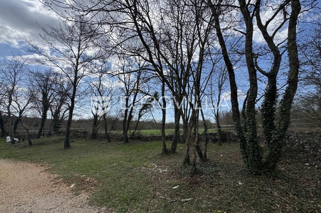 Image 20