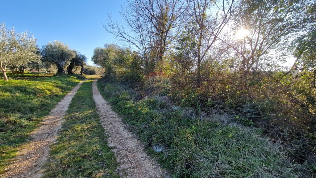 Image 5430473 - 5