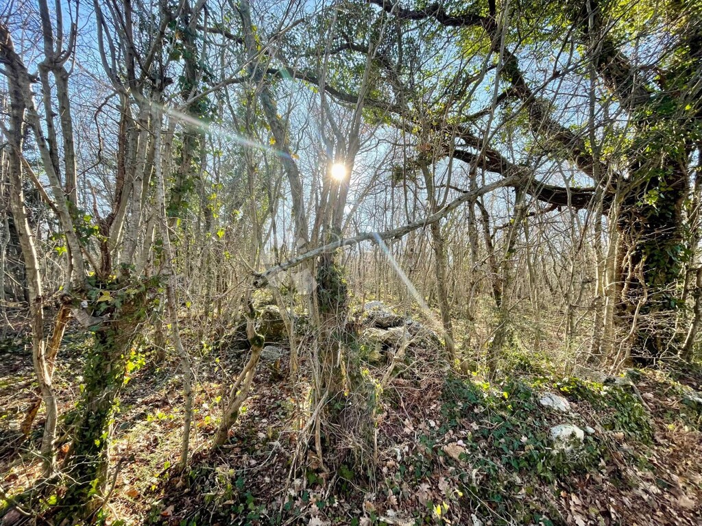 Image 9