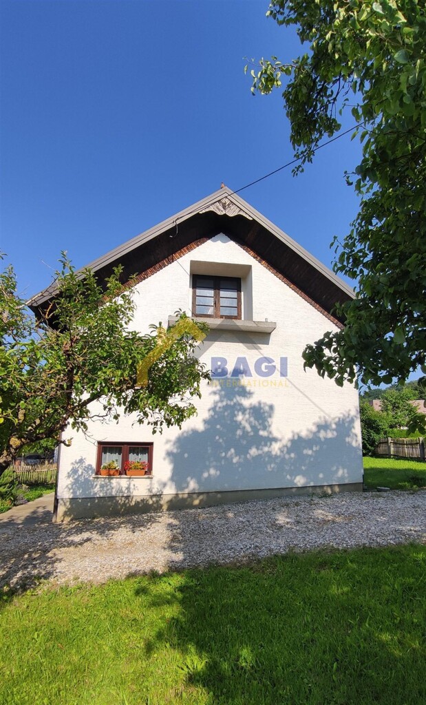 Image 13