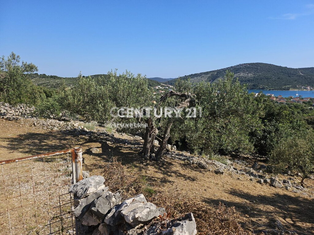 Image 9