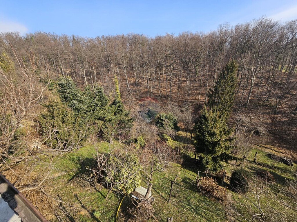 Image 5428219 - 6