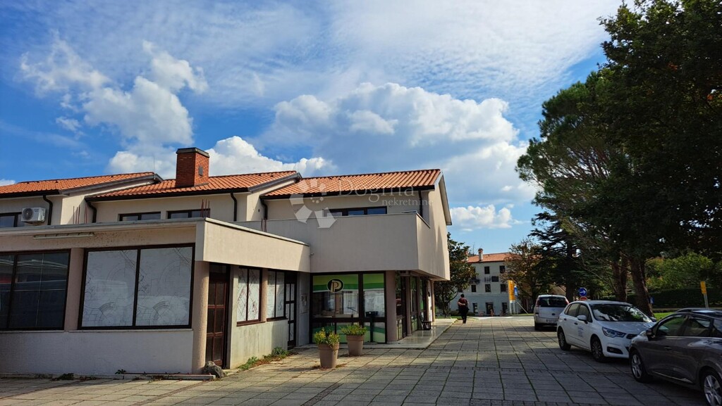 Image 12