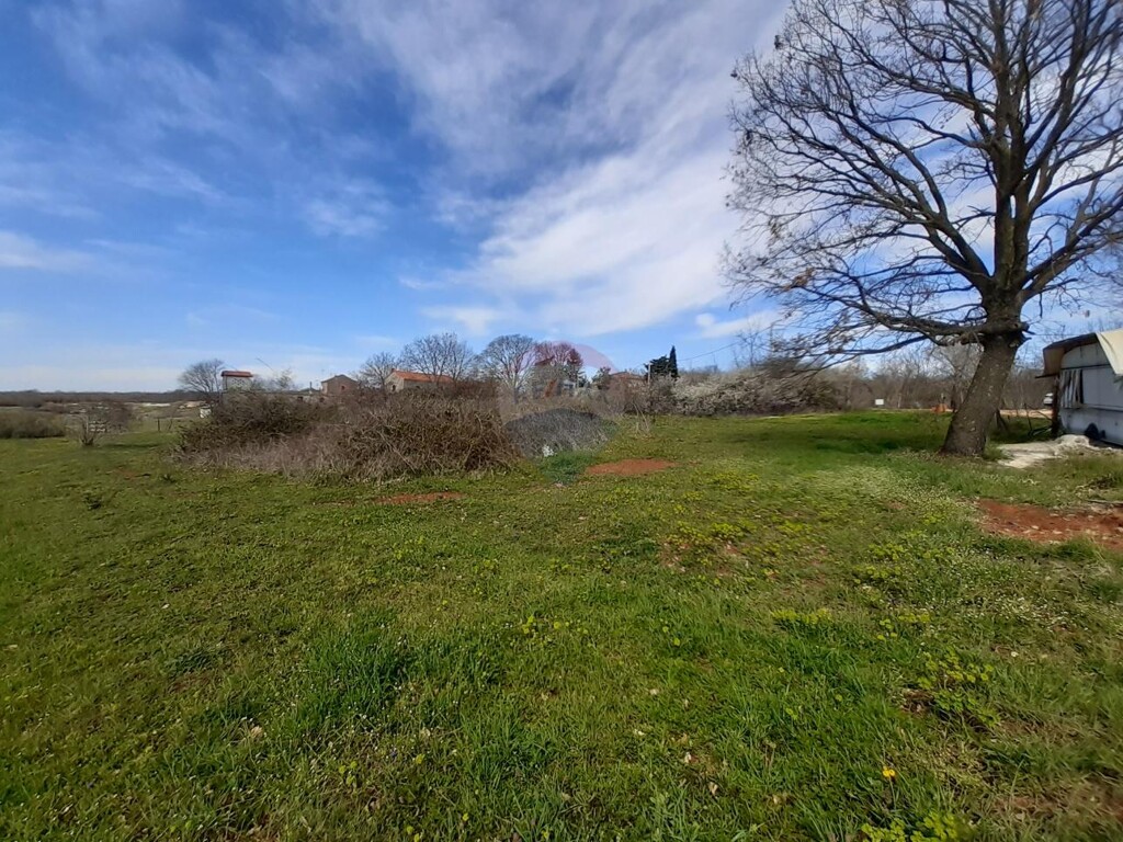 Image 5429826 - 4