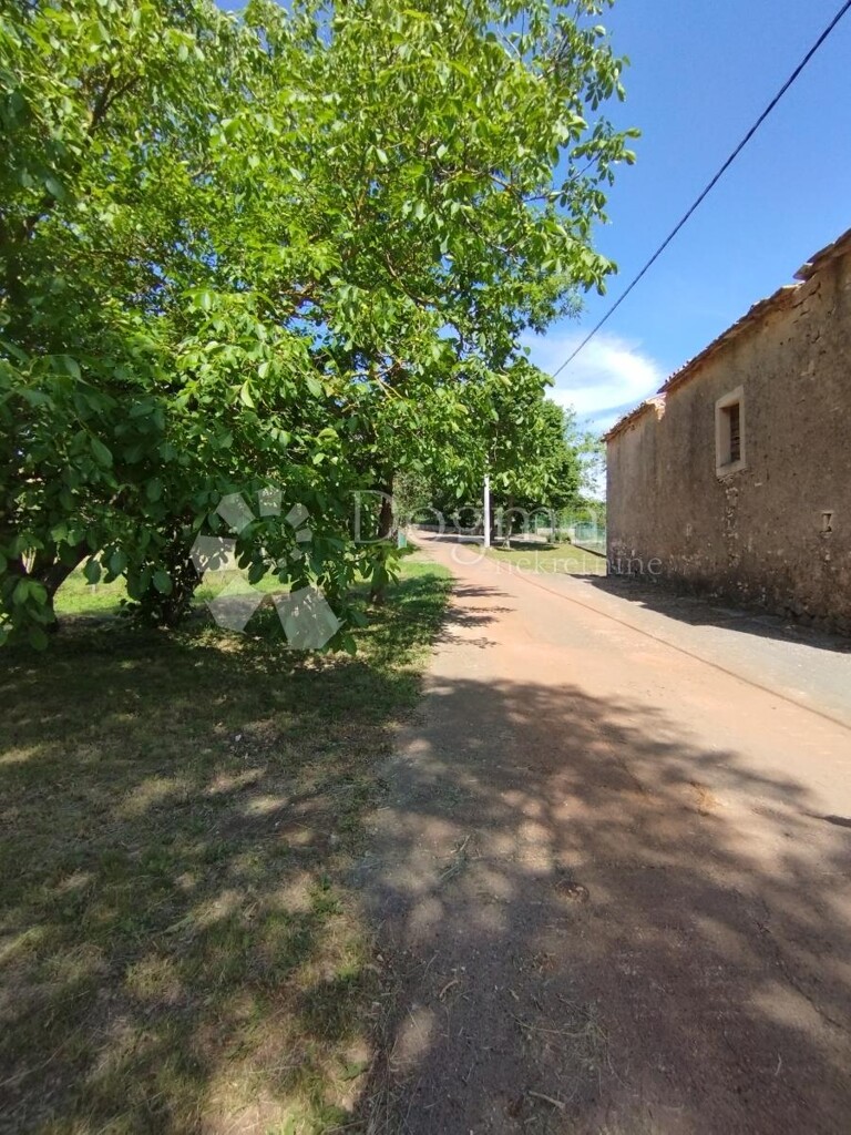 Image 18