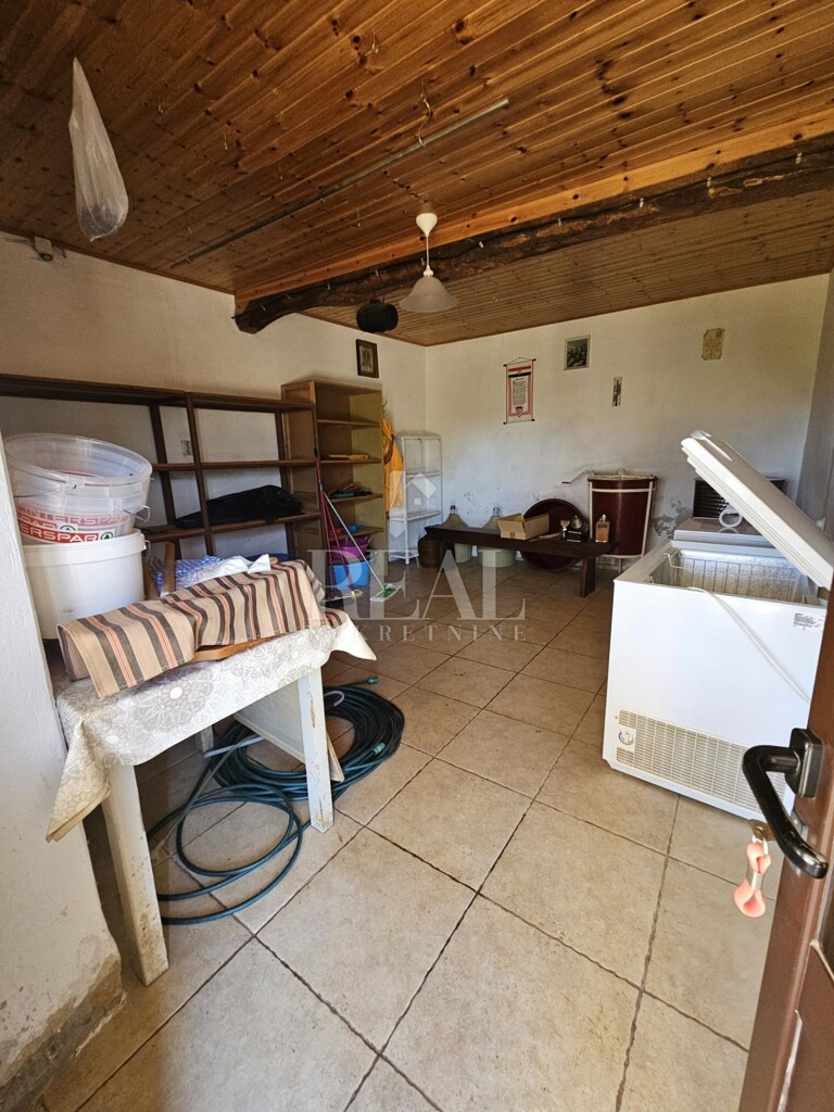 Image 22