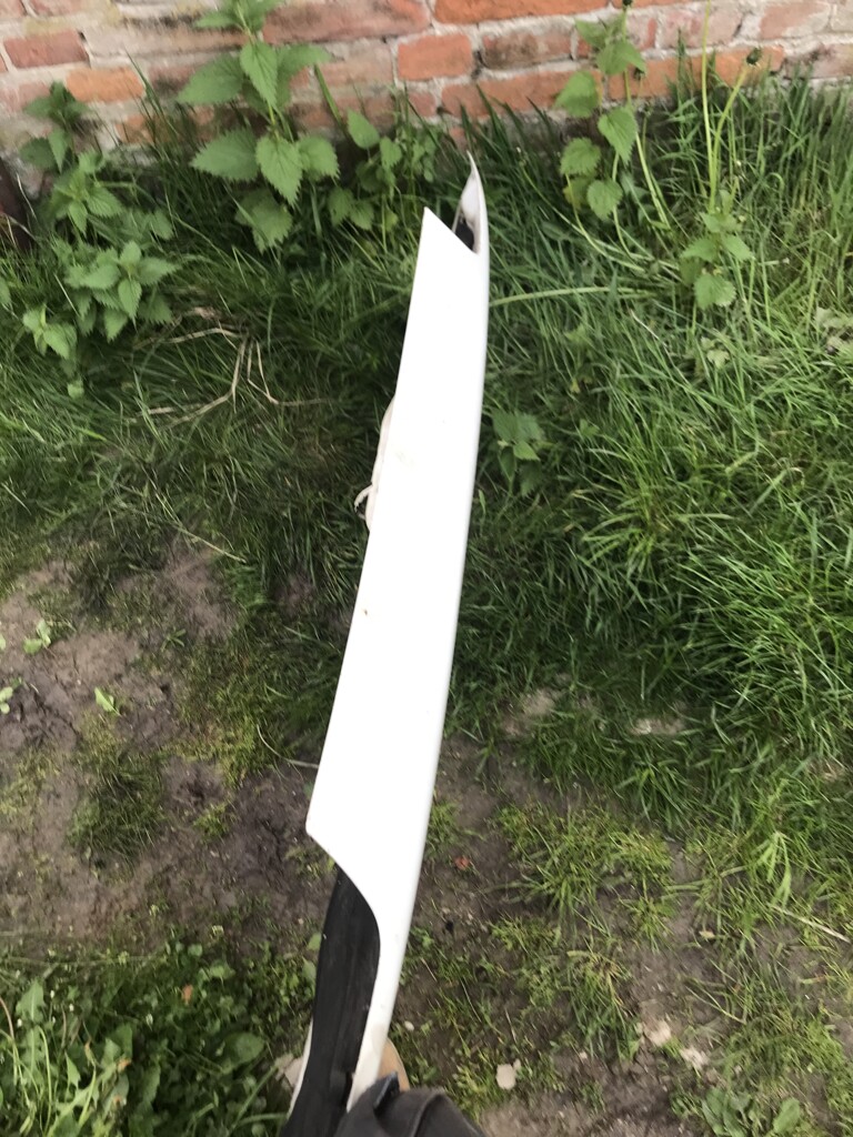 Image 15