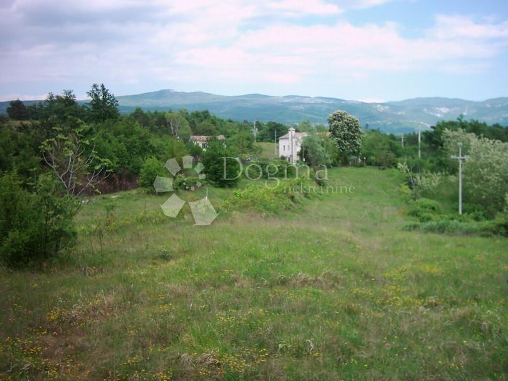 Image 15