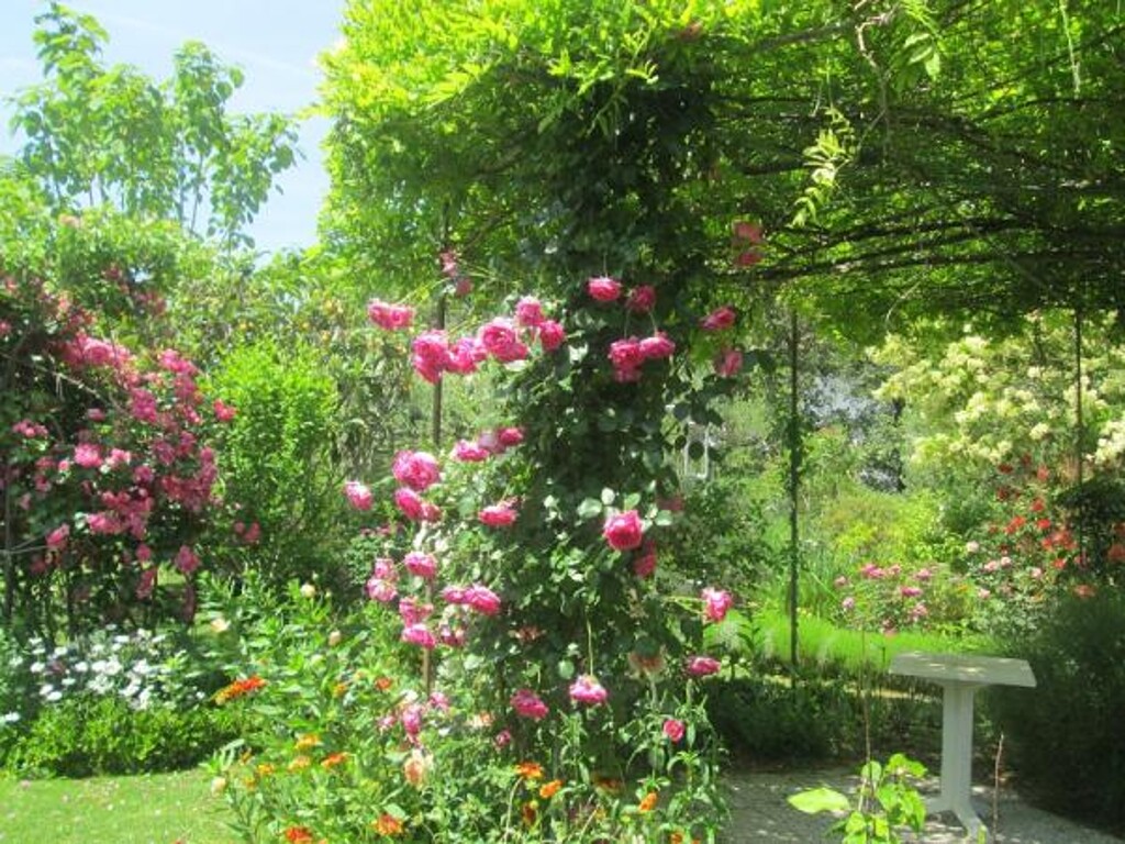 Image 21
