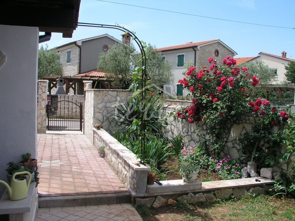 Image 8