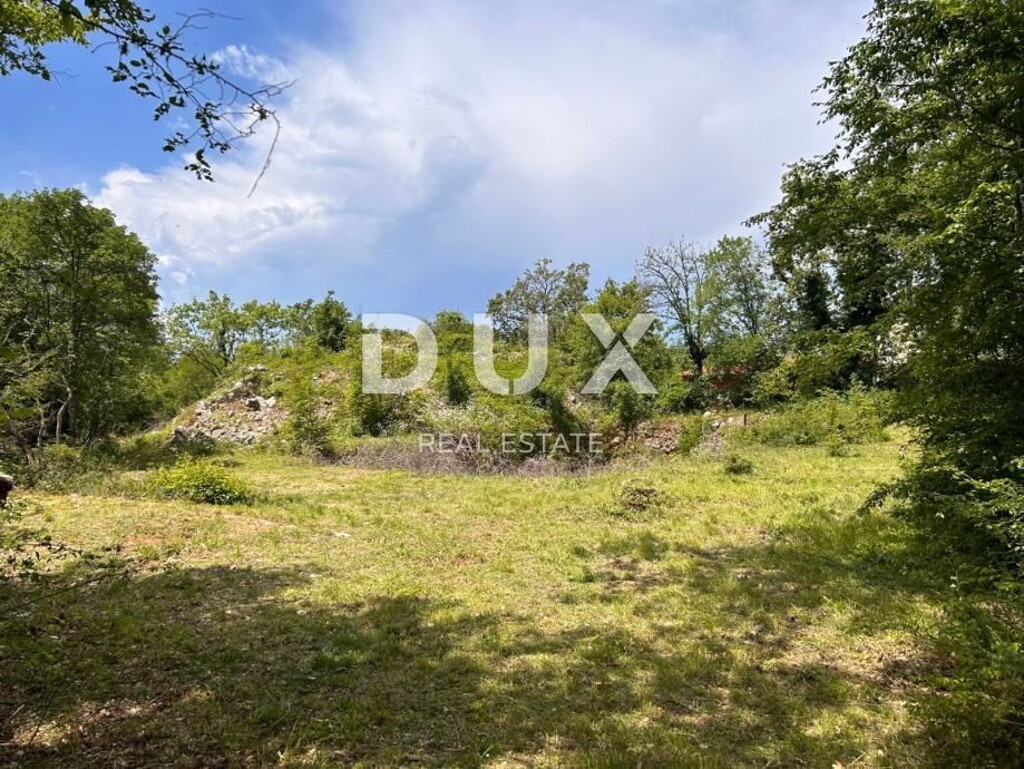 Image 15