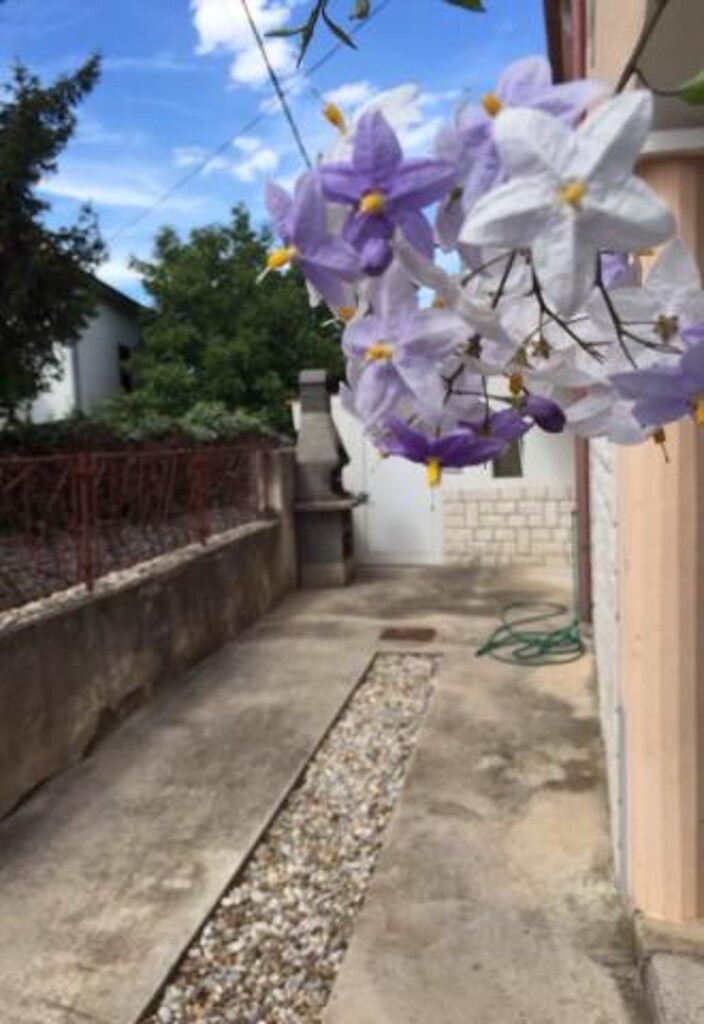 Image 23