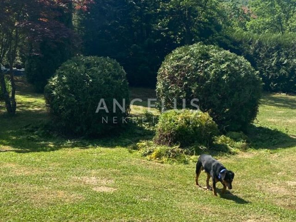 Image 6208648 - 7