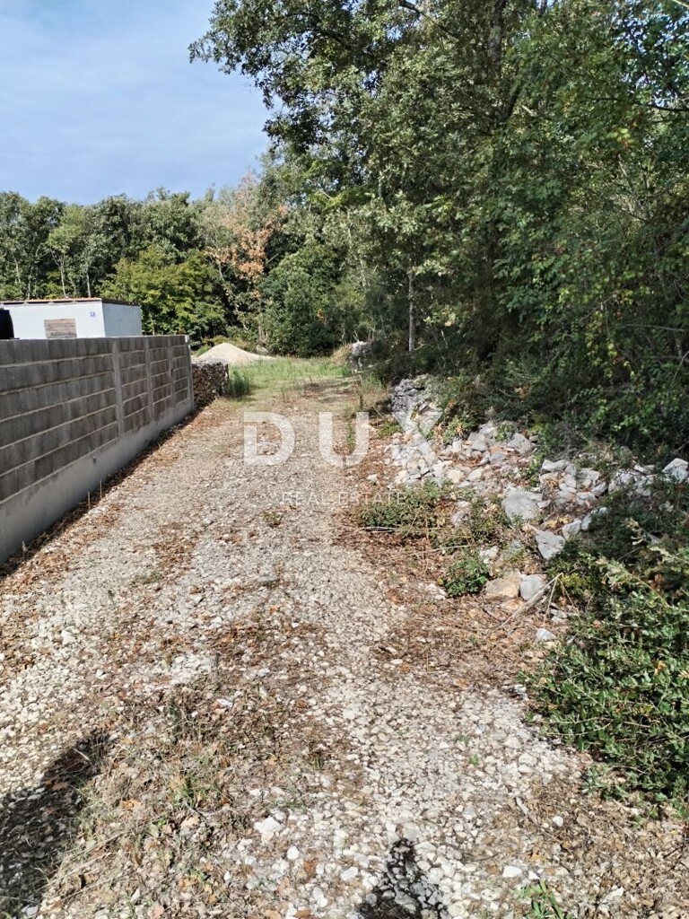 Image 16